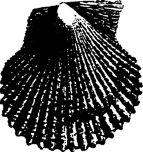 115/115480020002870_5.png