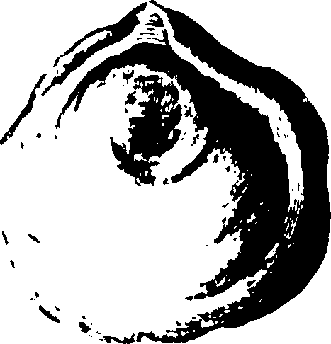 115/115480020002880_0.png