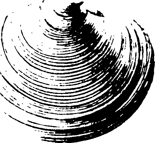 115/115480020002890_1.png