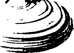 115/115480020002890_2.png
