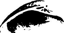 115/115480020002890_3.png