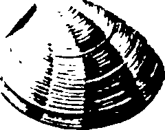 115/115480020002890_4.png