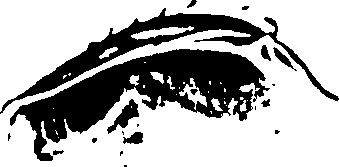 115/115480020002900_0.png