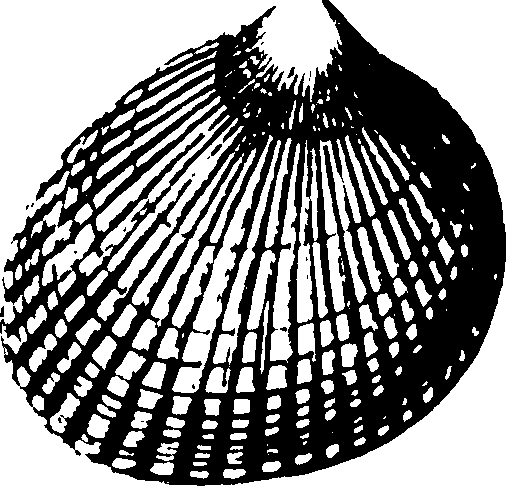 115/115480020002900_1.png