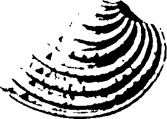 115/115480020002900_2.png