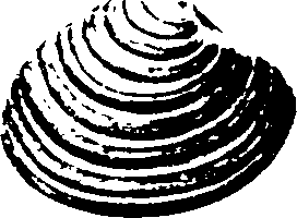 115/115480020002900_3.png