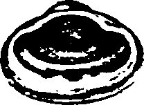 115/115480020002900_4.png