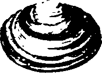 115/115480020002900_5.png