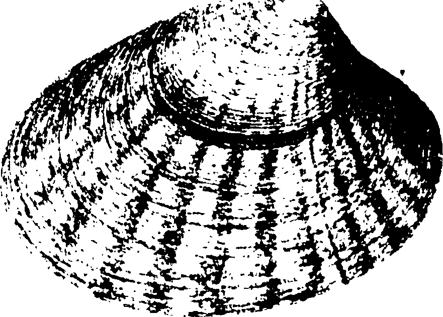 115/115480020002910_1.png