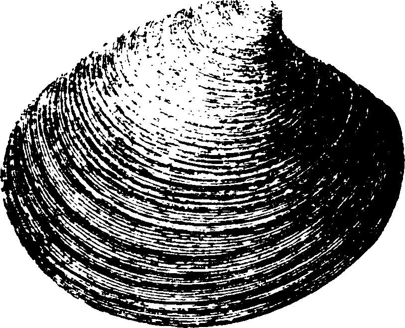 115/115480020002910_2.png