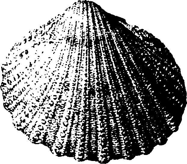 115/115480020002910_3.png