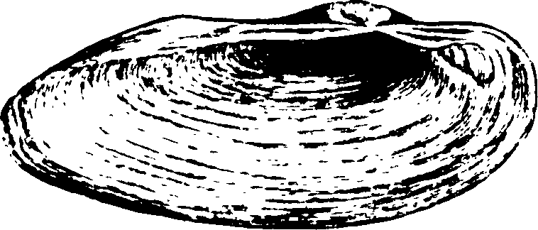 115/115480020002920_0.png