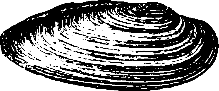 115/115480020002920_1.png