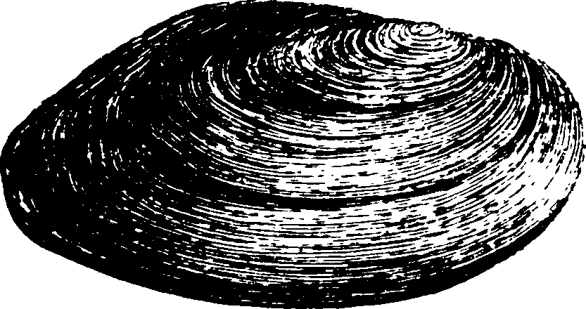 115/115480020002920_2.png