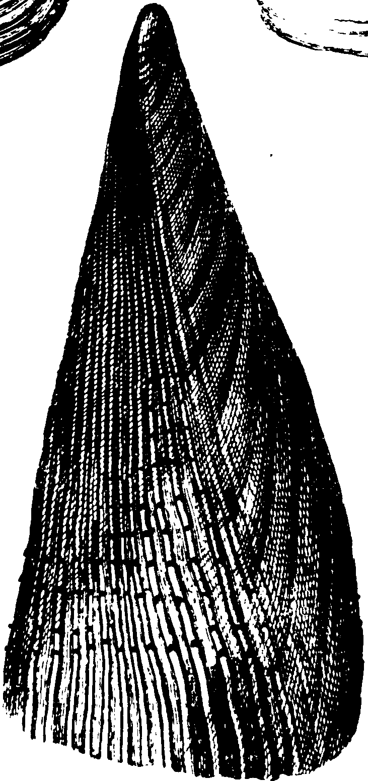 115/115480020002930_0.png