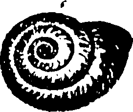 115/115480020002940_0.png