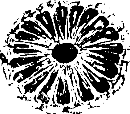 115/115480020002940_1.png