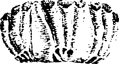 115/115480020002940_2.png