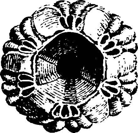 115/115480020002940_3.png