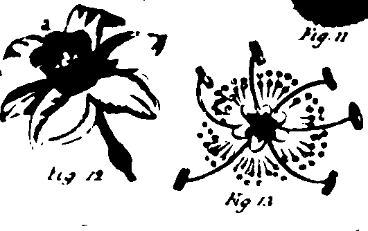 115/115500050000010_0.png