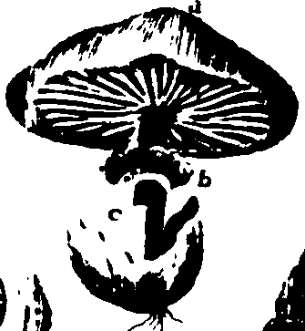 115/115500050000010_1.png