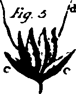 115/115500050000010_2.png