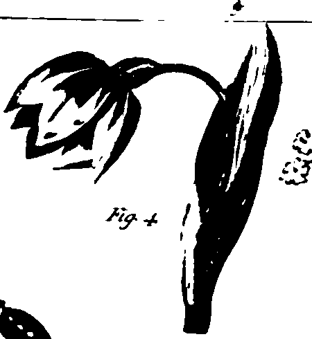 115/115500050000010_3.png