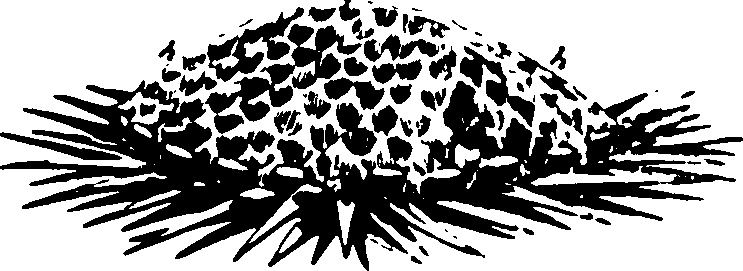 115/115500050002020_0.png