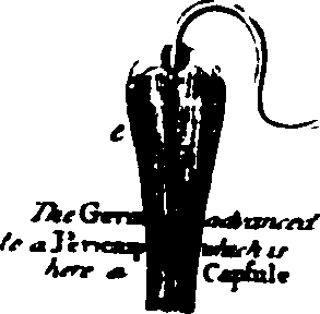 115/115500050002020_1.png