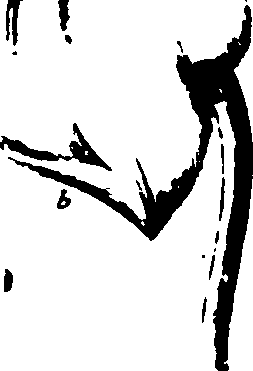 115/115500050002020_2.png