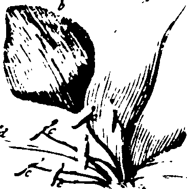 115/115500050002020_3.png