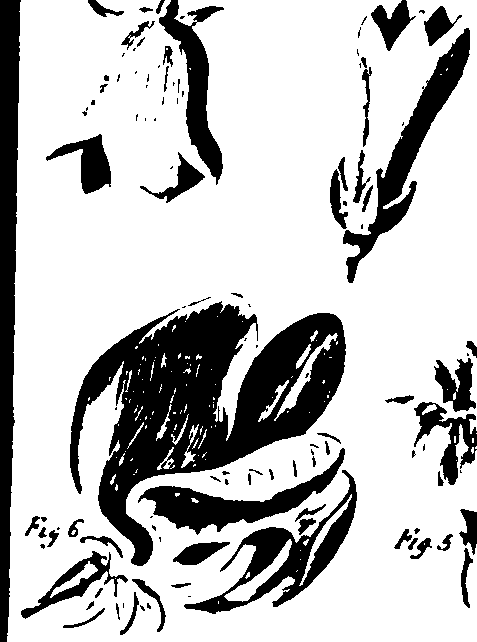 115/115500050002030_4.png