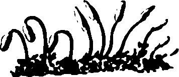 115/115500050002040_0.png