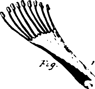 115/115500050002040_2.png