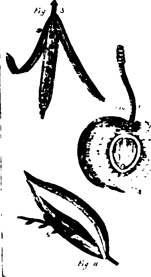 115/115500050002050_0.png