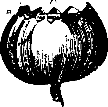 115/115500050002050_1.png