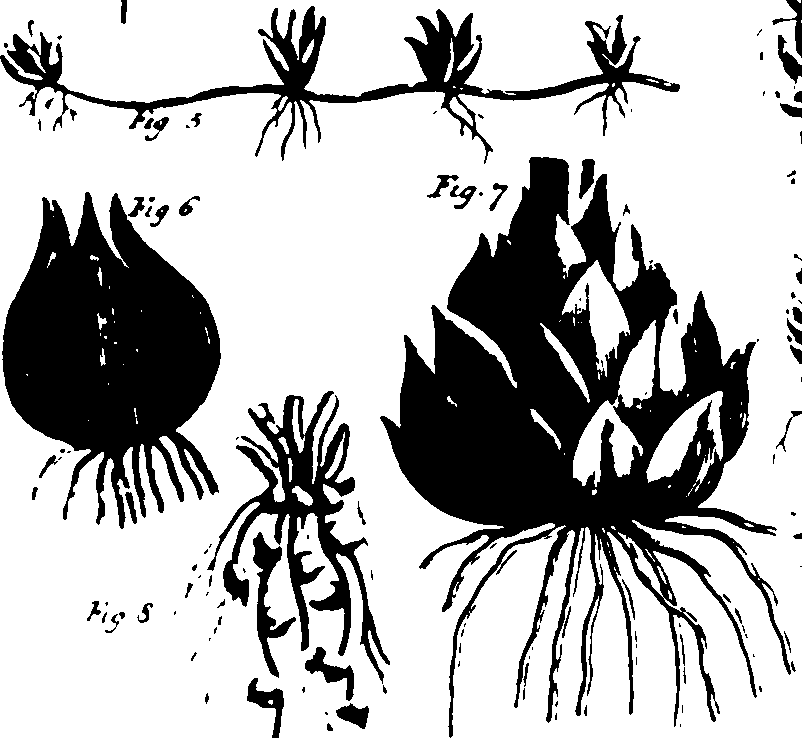115/115500050002060_0.png