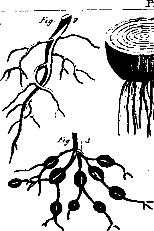 115/115500050002060_1.png