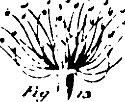 115/115500050002070_0.png
