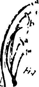115/115500050002070_1.png