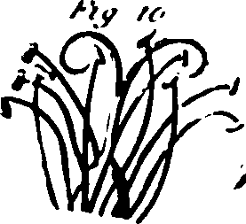 115/115500050002070_2.png