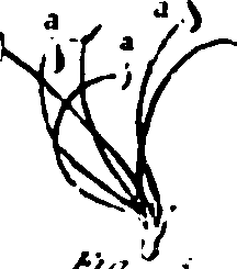 115/115500050002070_5.png