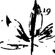 115/115500050002080_2.png