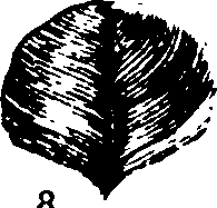 115/115500050002080_3.png