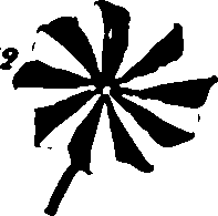 115/115500050002090_1.png