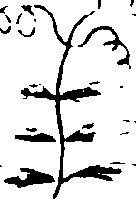 115/115500050002090_2.png