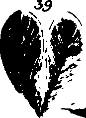 115/115500050002090_3.png