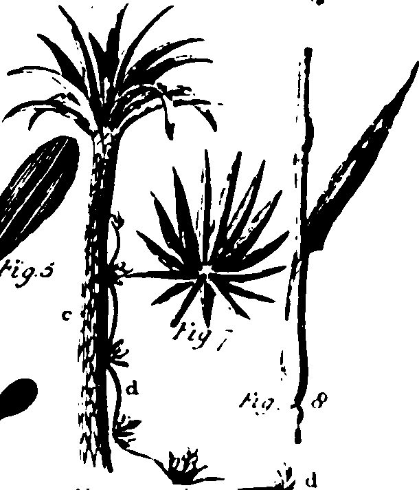 115/115500050002100_0.png