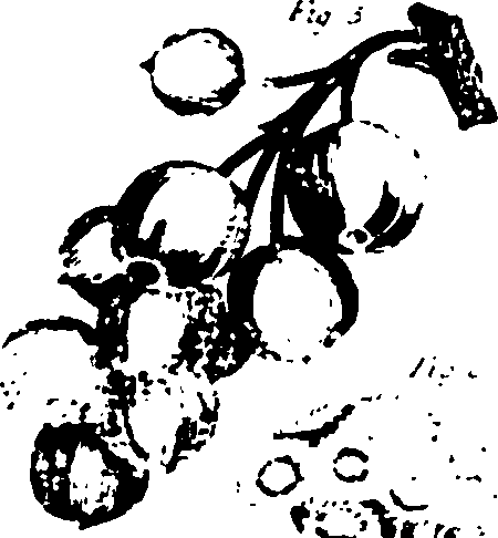 115/115500050002110_0.png