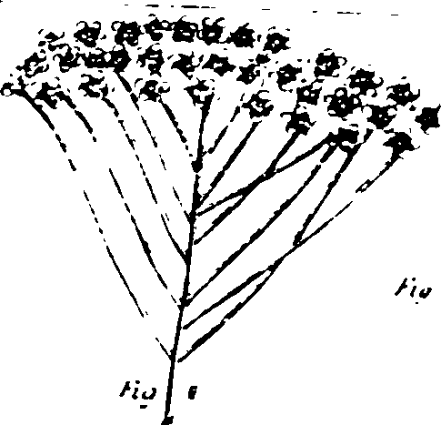 115/115500050002110_1.png